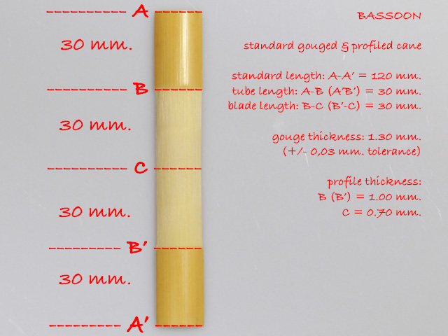 hardness-tested and profiled cane for bassoon